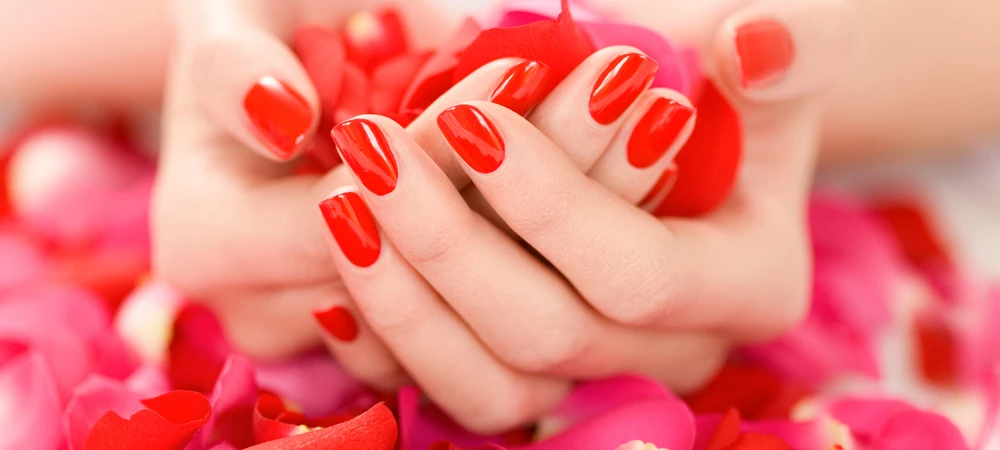 photo - Beauty Heaven